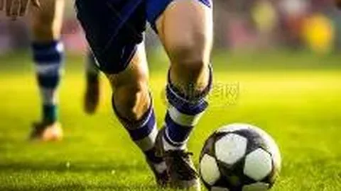 韦德体育 资讯 095826 ydg