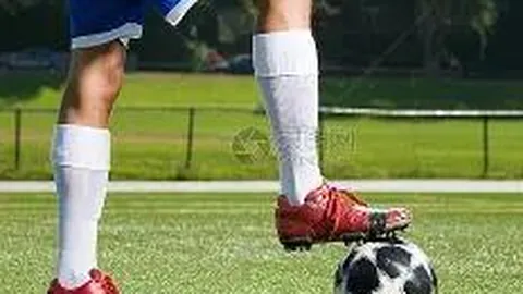 郑钦文豪取胜利，萨巴伦卡领跑五大巨星全胜风潮